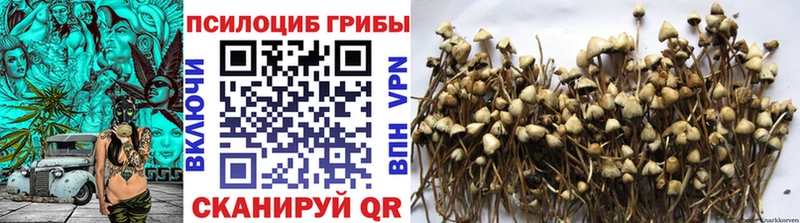 KRAKEN tor  Пустошка  Галлюциногенные грибы GOLDEN TEACHER 